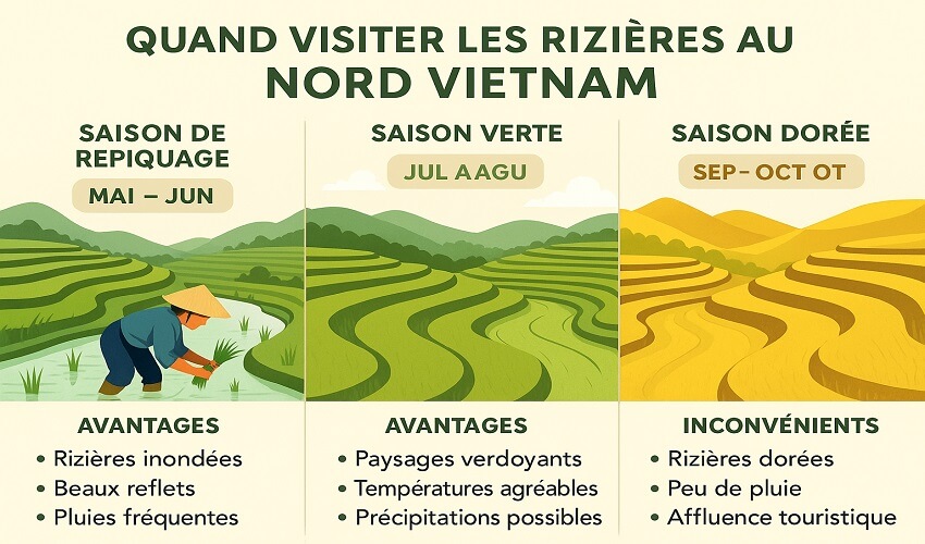 Graphique de la meilleure saison pour visiter les rizières
