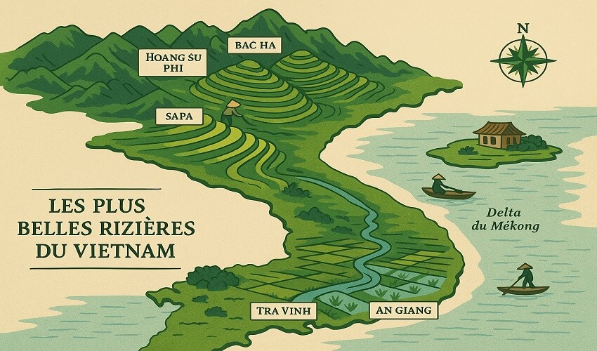 Graphique des plus belles rizières