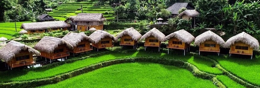 Hoang Su Phi Lodge est niché dans un cadre magnifique