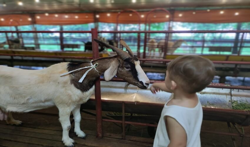 Sortie nature et ferme à proximité Hanoi