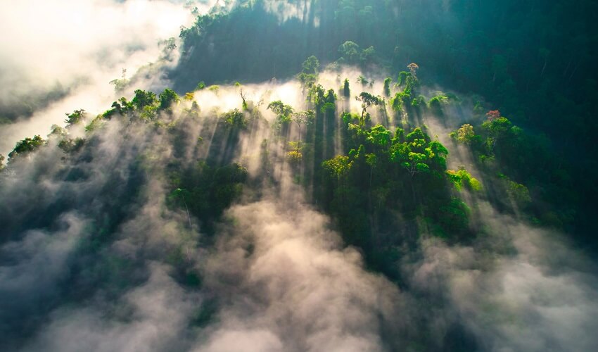 Forêt primitive à A Luoi