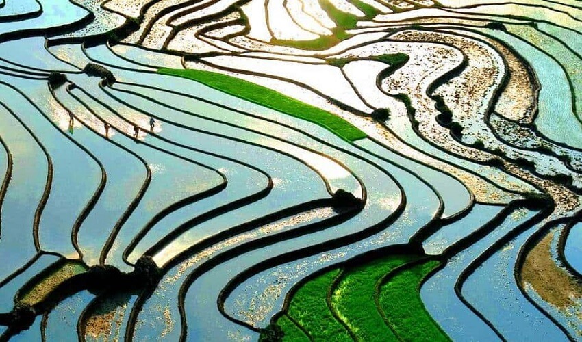 À la saison d'eau dans les champs en terrasses