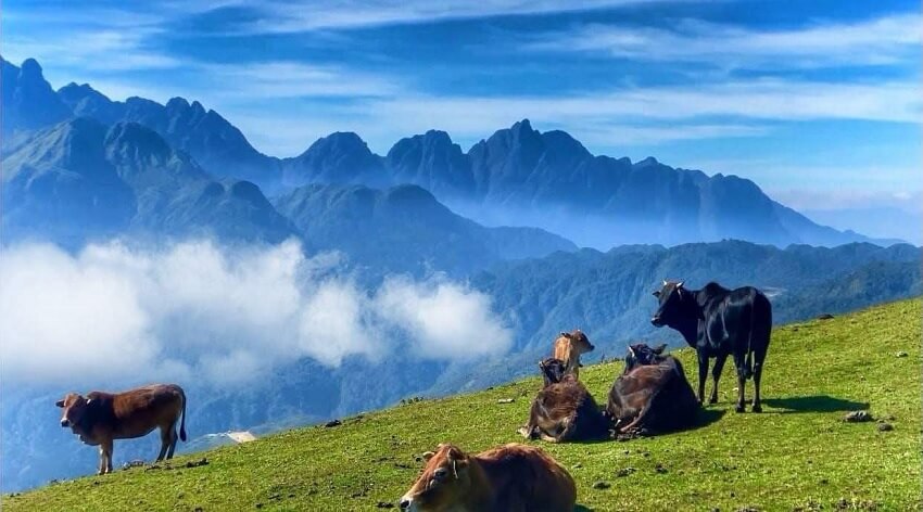 Col O Quy Ho à Lao Cai