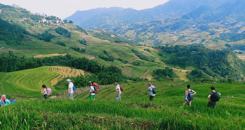 Itinéraire comprend de nombreux passages dans la jungle