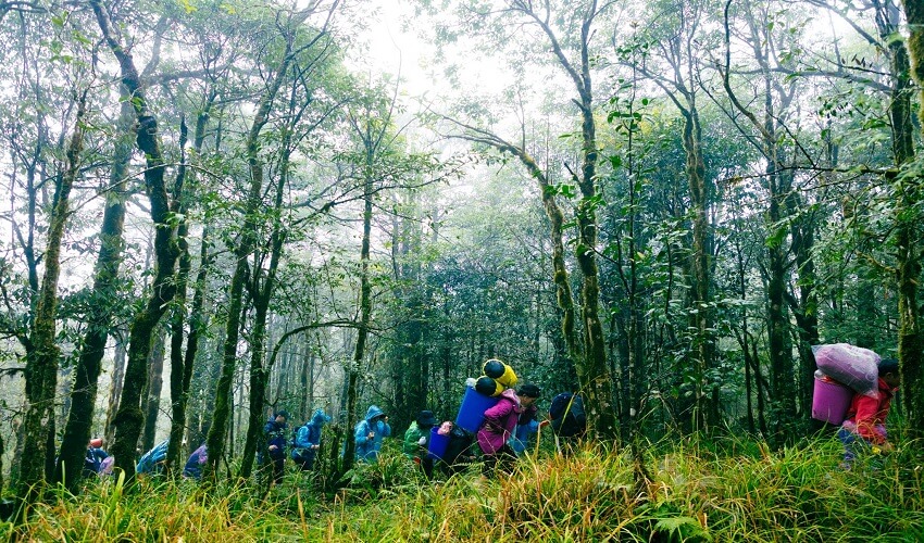 La randonnée est le meilleur moyen pour visiter Sapa