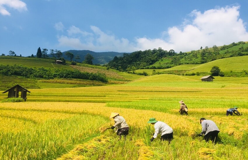 Possibilité de participer aux activités quotidiennes
