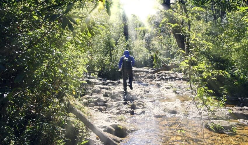 Programme journalier Fansipan offre une expérience condensée