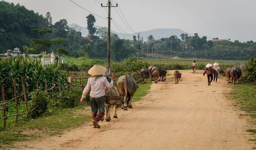 Campagne rurale à Quang Binh