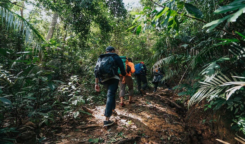 Randonnée pédestre de 6 km sur sentier forestière