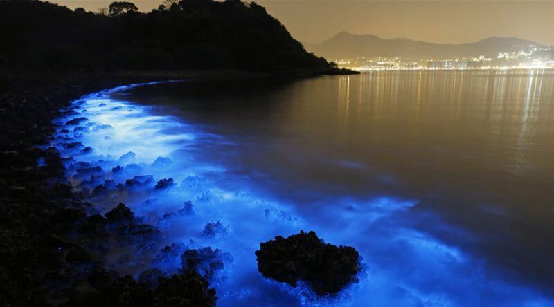 La bioluminescence marine observée à Cat Ba