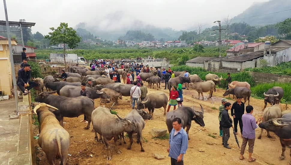 Le_marché_de_Tra_Linh
