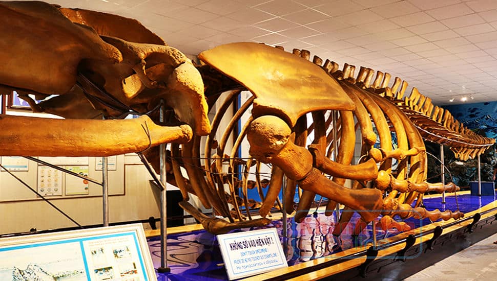 Le_musée_océanographique  